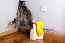 Best Asbestos and Lead Testing During Mold Inspection  in Half Moon Bay, CA